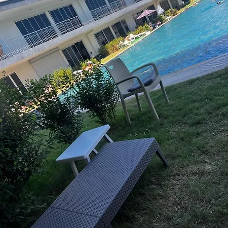 Guls Pool *